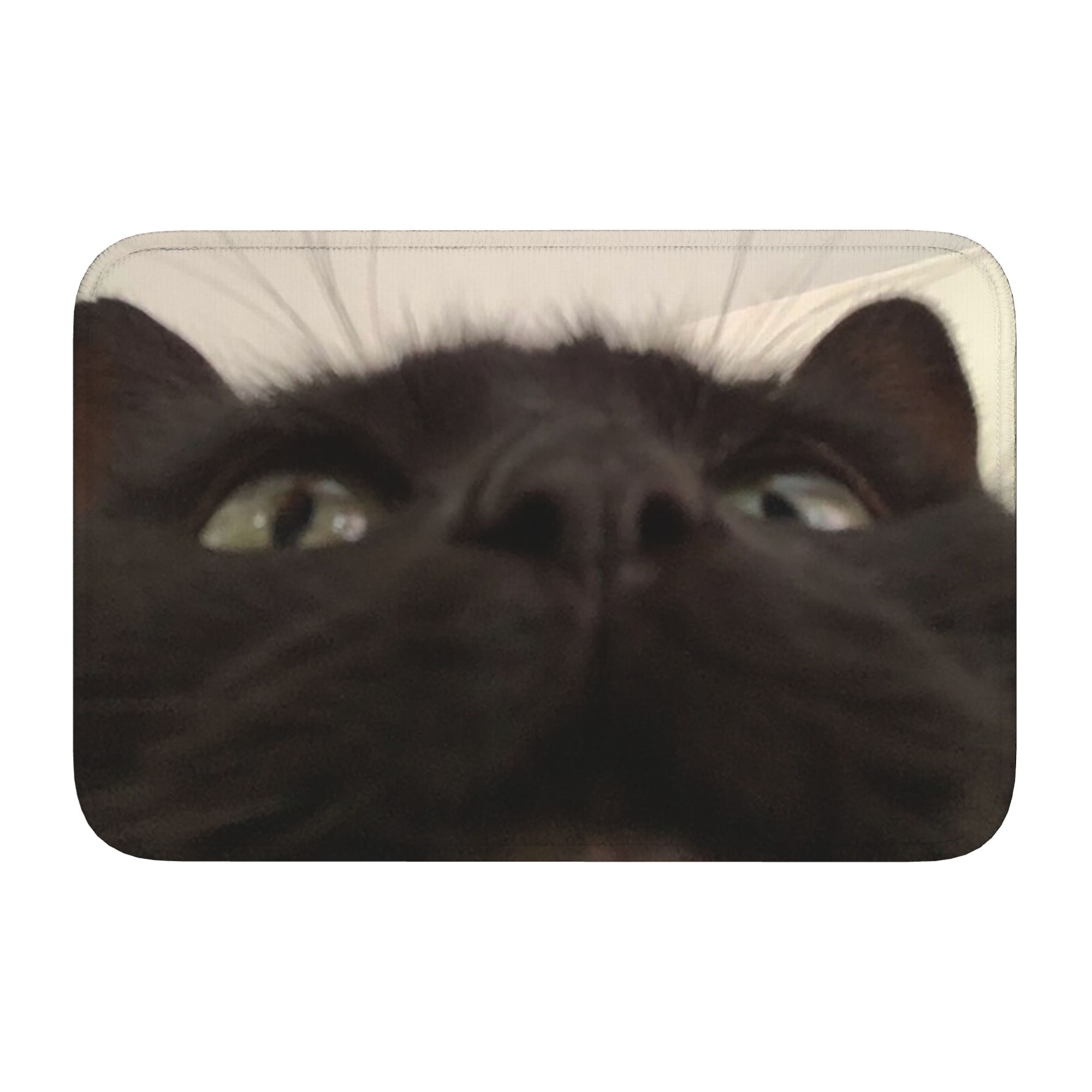 Home Textiles Direct - Cat Looking Directly At You at